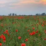 Biotop - Badeteich, Sauna, Kinoleinwand *