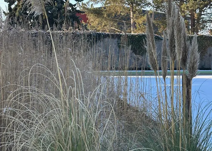 Vakantiehuis Biotop - Badeteich, Sauna, Kinoleinwand